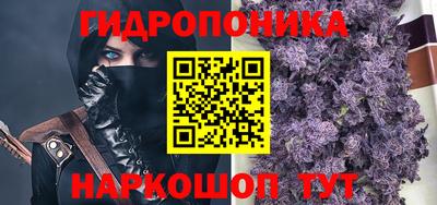 эйфоретик Обь