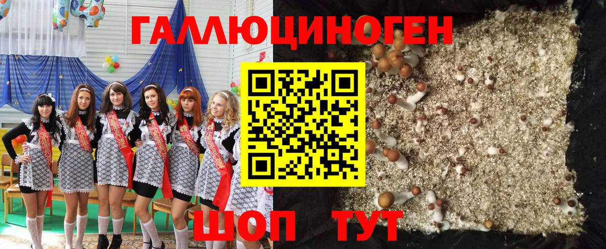 Галлюциногенные грибы MAGIC MUSHROOMS  Вход с VPN  Приморско-Ахтарск 